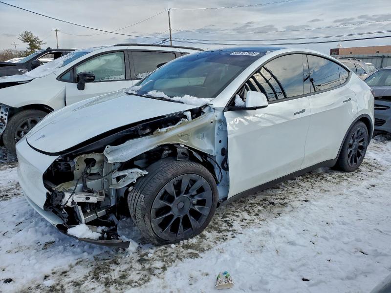 TESLA MODEL Y 2024 with VIN 7SAYGDEDXRF048687 - Photo from auction