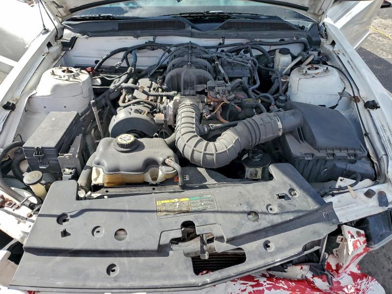 Photo 11 from auction – 2009 FORD MUSTANG with VIN 1ZVHT80N795104079