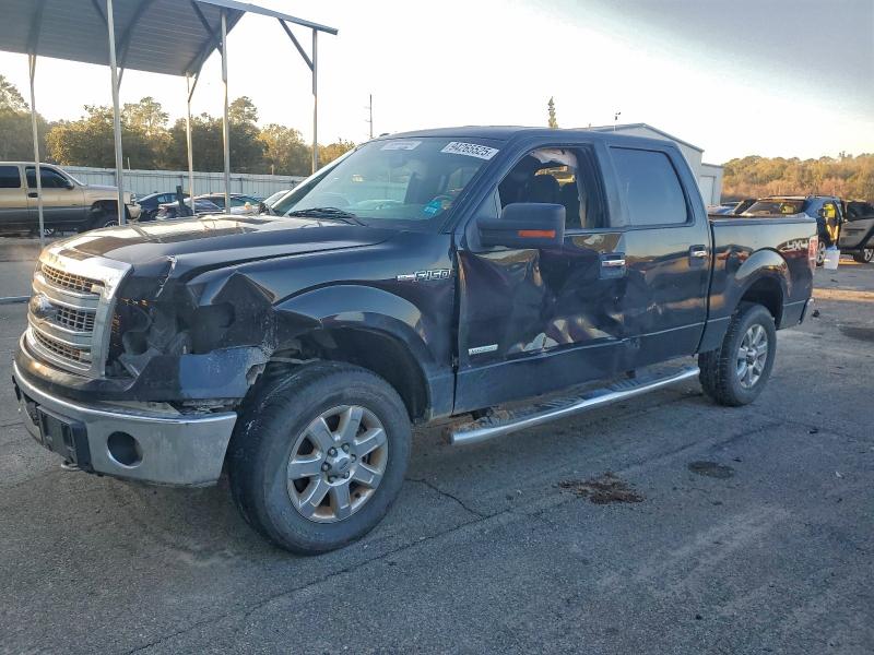 FORD F150 SUPER 2013 with VIN 1FTFW1ET4DKE48494 - Photo from auction