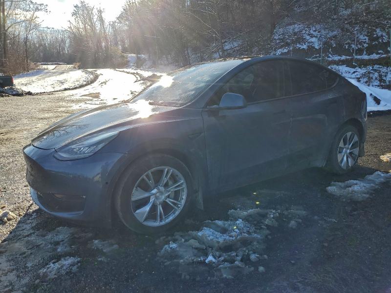 TESLA MODEL Y 2021 с VIN 5YJYGDEE8MF175209 - Фото с аукциона