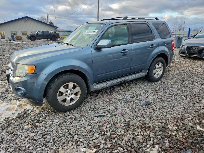 FORD ESCAPE 2010 with VIN 1FMCU9EG7AKB29625 - Photo from auction