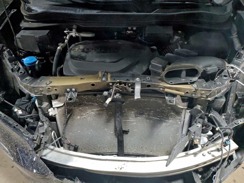 Photo 12 from auction – 2021 HONDA PILOT EXL with VIN 5FNYF6H57MB016949