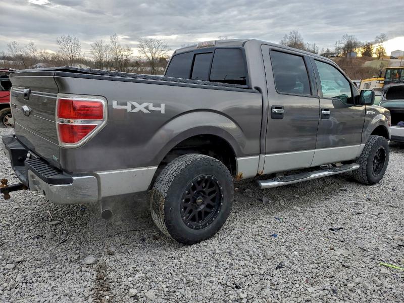 Photo 3 from auction – 2010 FORD F150 SUPER with VIN 1FTFW1EV1AFA55025