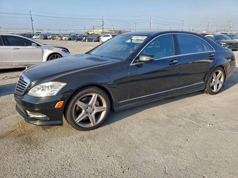 MERCEDES-BENZ S 2010 with VIN WDDNG7BB7AA333290 - Photo from auction