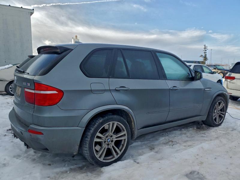 Photo 3 from auction – 2010 BMW X5 M with VIN 5YMGY0C51ALK25422
