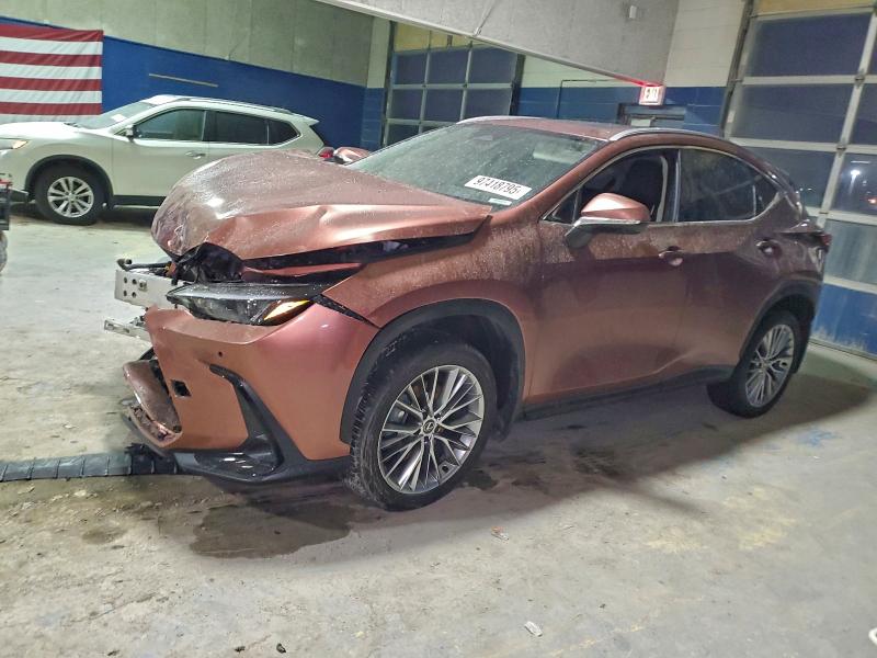 2025 LEXUS NX 350H BA