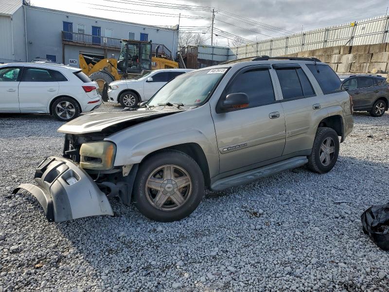 CHEVROLET TRAILBLAZE 2002 with VIN 1GNDT13S622247789 - Photo from auction
