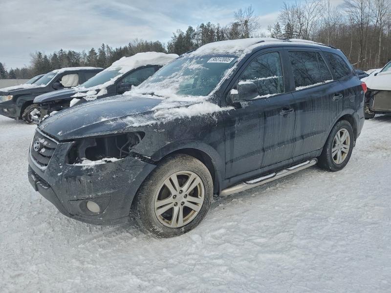 HYUNDAI SANTA FE G 2010 with VIN 5NMSGDAG0AH372219 - Photo from auction