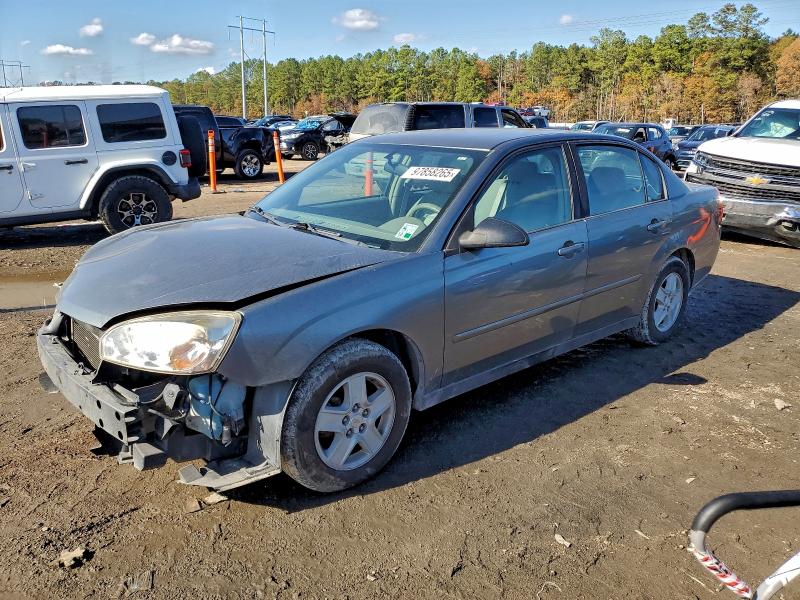 CHEVROLET MALIBU LS 2005 with VIN 1G1ZT54875F182174 - Photo from auction