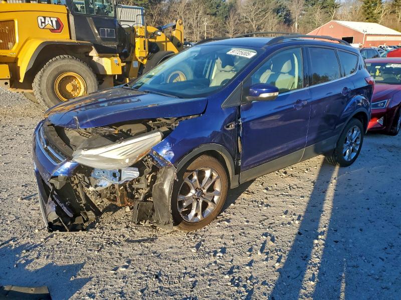 FORD ESCAPE SEL 2013 with VIN 1FMCU9HX5DUB05344 - Photo from auction