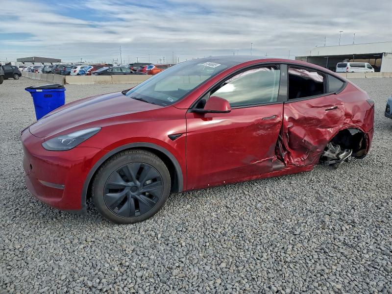 TESLA MODEL Y 2024 with VIN 7SAYGDEE1RF159363 - Photo from auction