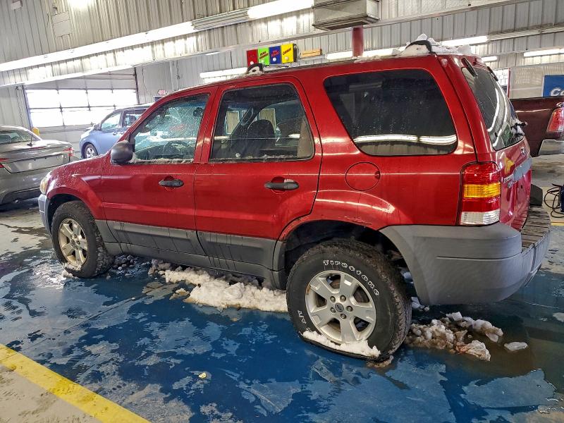 Photo 2 from auction – 2007 FORD ESCAPE with VIN 1FMYU03Z37KA30587