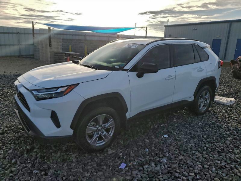 TOYOTA RAV4 LE 2024 with VIN 4T3LWRFV7RU126559 - Photo from auction