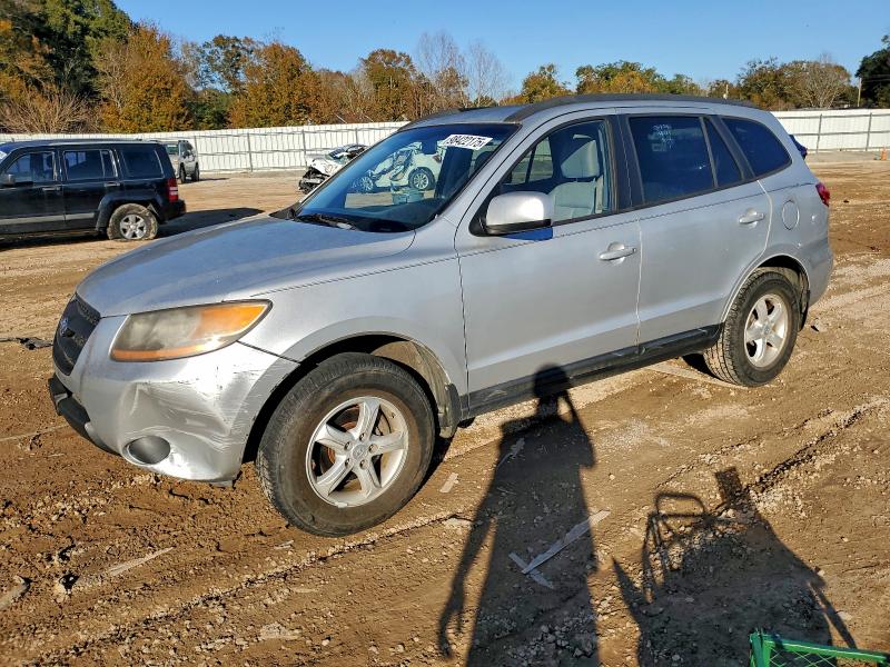 HYUNDAI SANTA FE G 2008 with VIN 5NMSG13DX8H211758 - Photo from auction