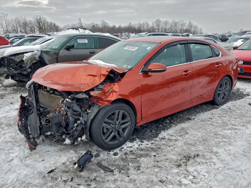 KIA FORTE EX 2019 with VIN 3KPF54AD5KE070639 - Photo from auction