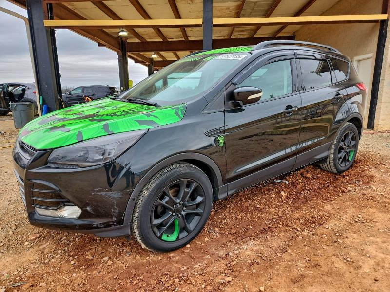 FORD ESCAPE SEL 2013 with VIN 1FMCU0HX3DUD75460 - Photo from auction