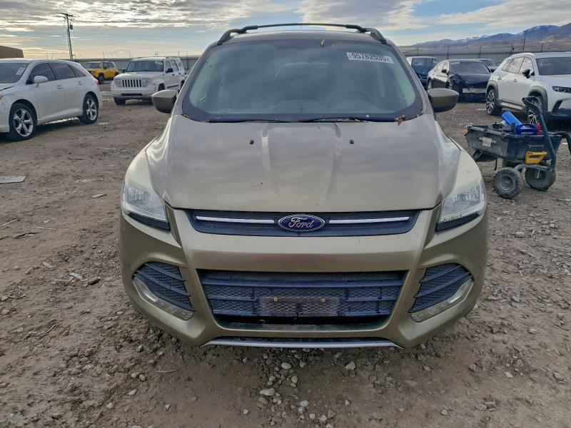 Photo 5 from auction – 2013 FORD ESCAPE with VIN 1FMCU0GX8EUA14034