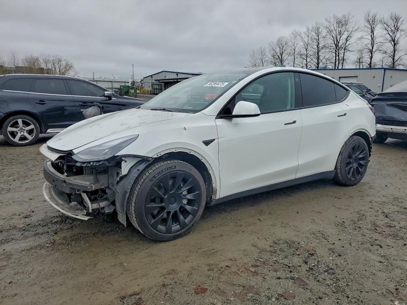 TESLA MODEL Y 2023 with VIN 7SAYGDEE8PF697779 - Photo from auction