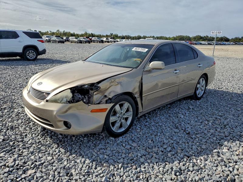 LEXUS ES 330 2006 with VIN JTHBA30GX65175709 - Photo from auction