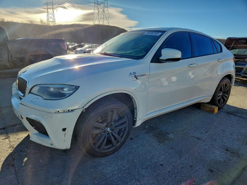 BMW X6 M 2014 with VIN 5YMGZ0C56E0J99825 - Photo from auction