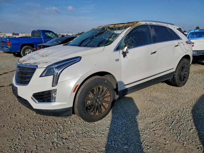 CADILLAC XT5 LUXURY 2019 with VIN 1GYKNCRS5KZ265845 - Photo from auction