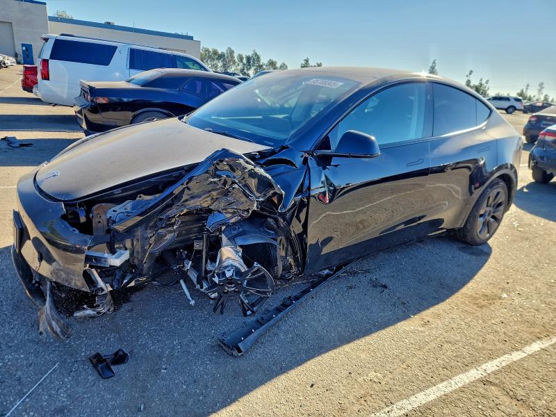 TESLA MODEL Y 2025 with VIN 7SAYGDED6SF320402 - Photo from auction