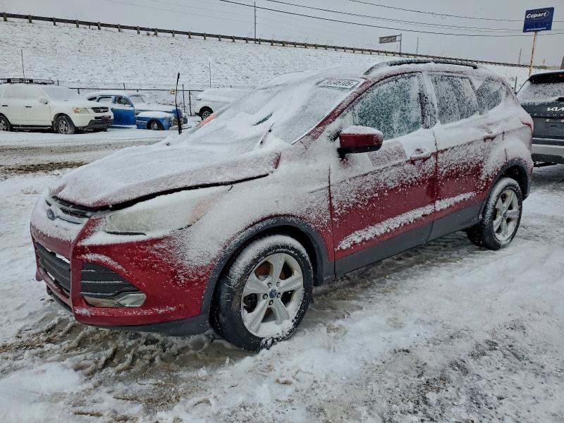 FORD ESCAPE SE 2014 with VIN 1FMCU9G91EUB41844 - Photo from auction