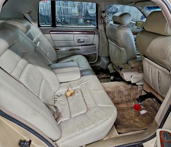 Photo 10 from auction – 1998 CADILLAC DEVILLE with VIN 1G6KD54Y8WU797712