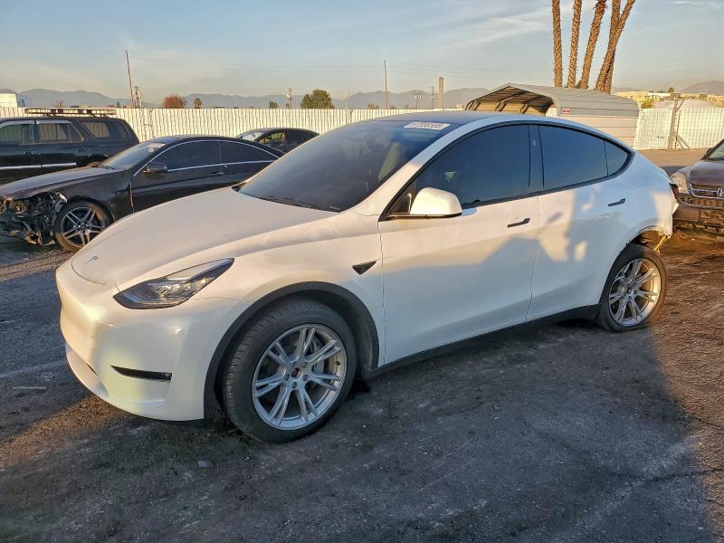 TESLA MODEL Y 2023 with VIN 7SAYGDEE0PA154245 - Photo from auction
