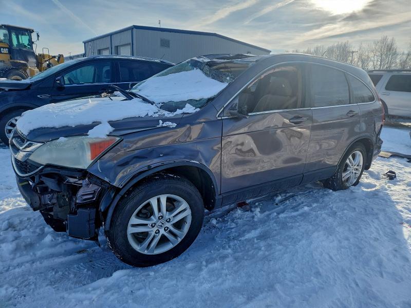 HONDA CR-V EXL 2010 with VIN 5J6RE4H72AL093003 - Photo from auction