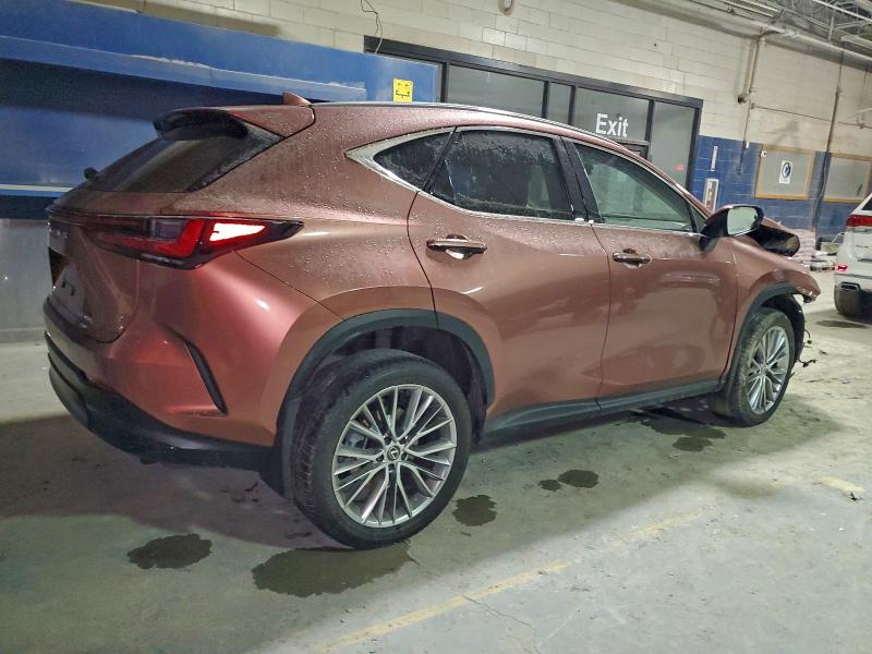 Photo 3 from auction – 2025 LEXUS NX 350H BA with VIN 2T2GKCEZ6SC038869