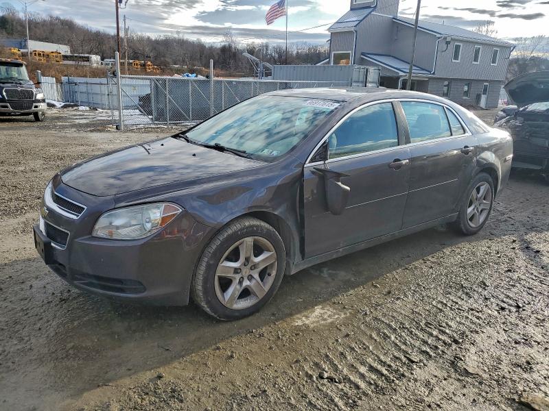 CHEVROLET MALIBU LS 2010 with VIN 1G1ZB5EB4AF308093 - Photo from auction