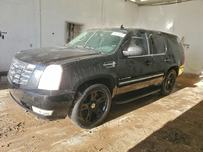 CADILLAC ESCALADE L 2007 with VIN 1GYEC63807R389109 - Photo from auction
