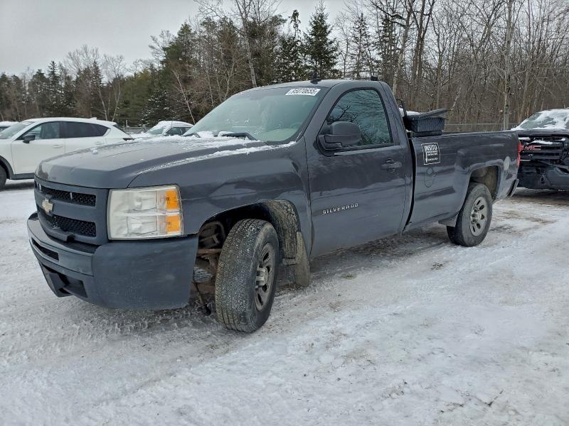 CHEVROLET SILVERADO 2010 with VIN 1GCPCPEA3AZ249003 - Photo from auction