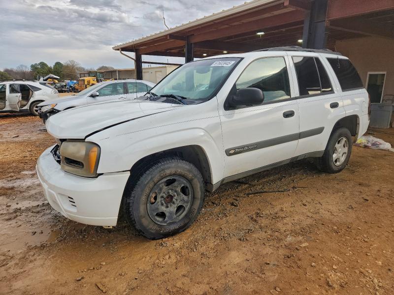 Photo 1 from auction – 2003 CHEVROLET TRAILBLAZE with VIN 1GNDS13S932148081