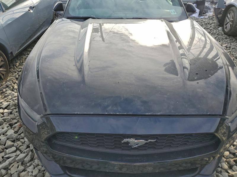 Photo 11 from auction – 2017 FORD MUSTANG with VIN 1FA6P8TH1H5345516