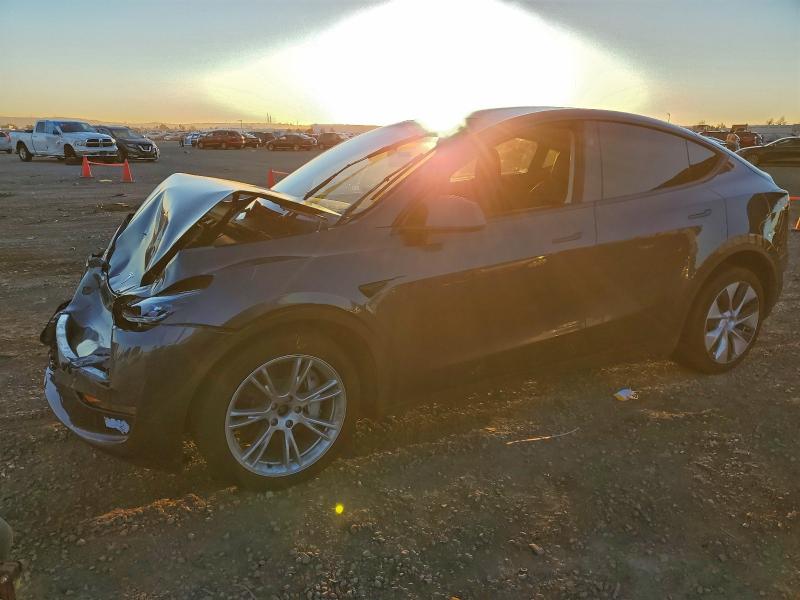 TESLA MODEL Y 2023 with VIN 7SAYGDEE3PA208881 - Photo from auction