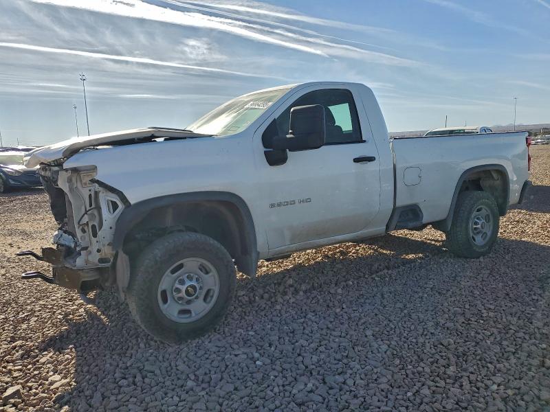 CHEVROLET SILVERADO 2021 with VIN 1GC0WLE78MF195385 - Photo from auction