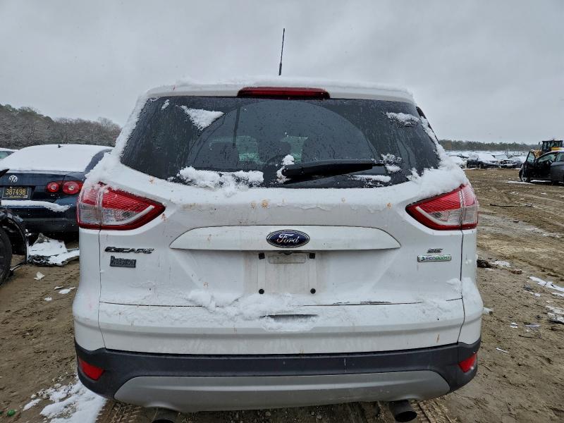 Photo 6 from auction – 2014 FORD ESCAPE SE with VIN 1FMCU0G96EUB83759