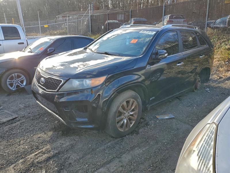 KIA SORENTO SX 2011 with VIN 5XYKWDA20BG095218 - Photo from auction