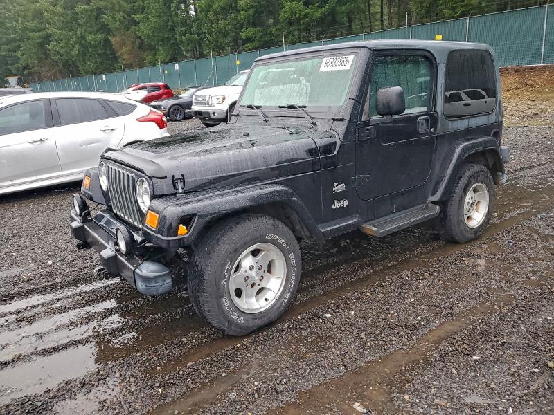 JEEP WRANGLER / 2003 with VIN 1J4FA59S43P373475 - Photo from auction