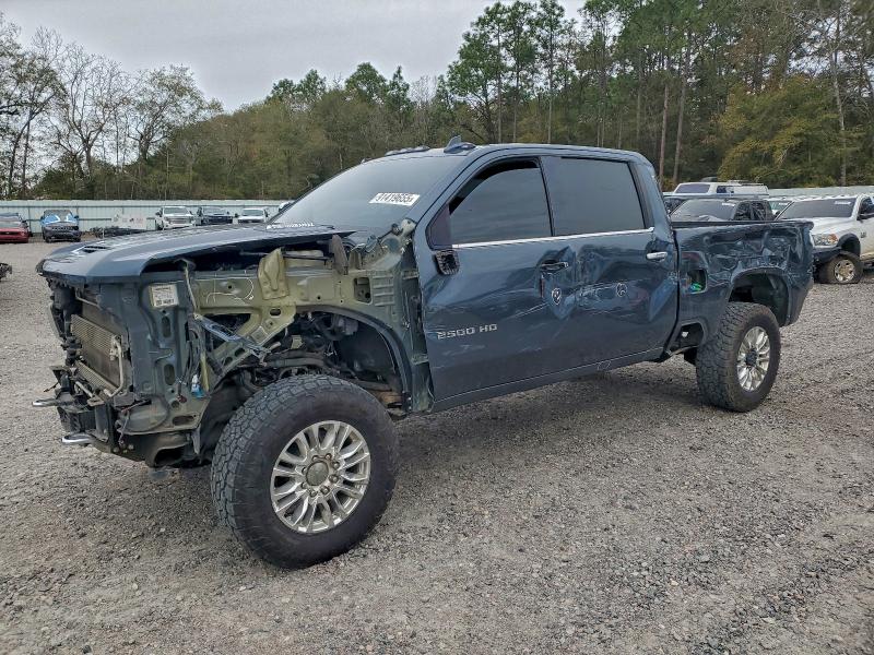 CHEVROLET SILVERADO 2020 with VIN 1GC4YREY8LF189589 - Photo from auction