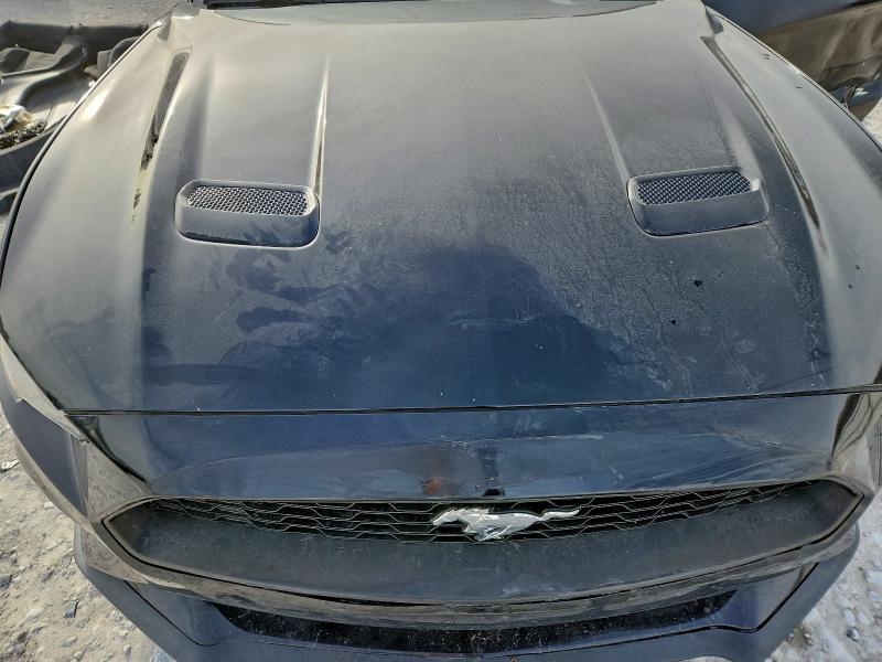 Photo 11 from auction – 2019 FORD MUSTANG with VIN 1FA6P8TH3K5112051