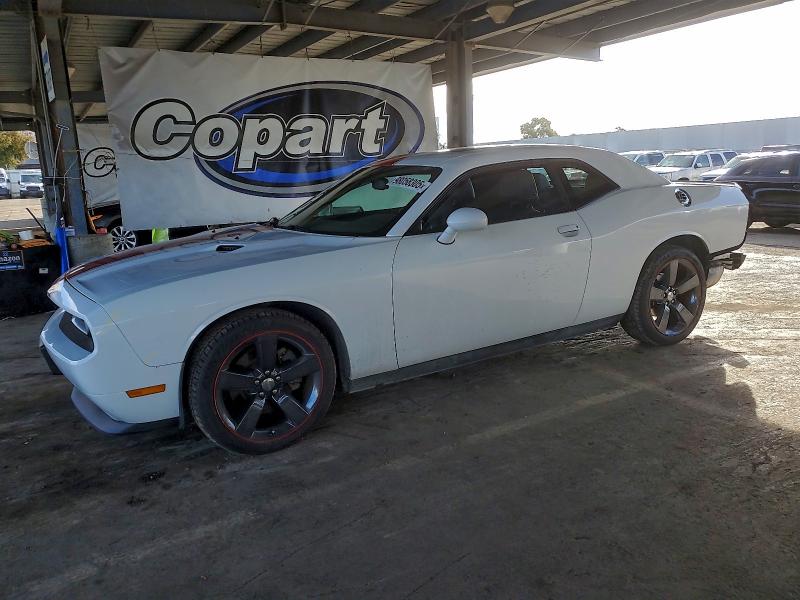 DODGE CHALLENGER 2013 with VIN 2C3CDYAG1DH581719 - Photo from auction