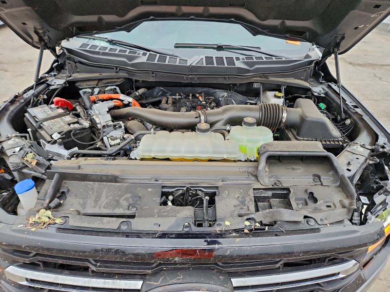Photo 11 from auction – 2025 FORD F150 XLT with VIN 1FTFW3LD7SFA77103
