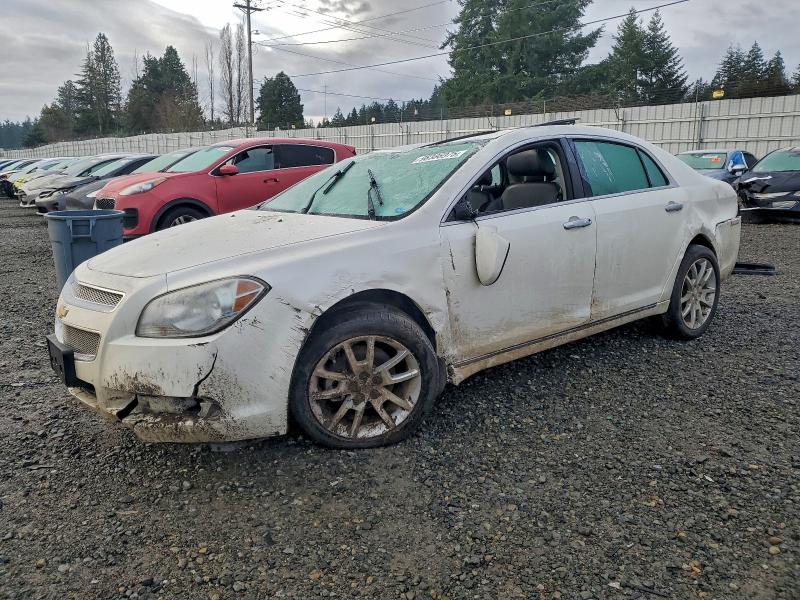 CHEVROLET MALIBU LTZ 2011 with VIN 1G1ZE5E73BF206899 - Photo from auction