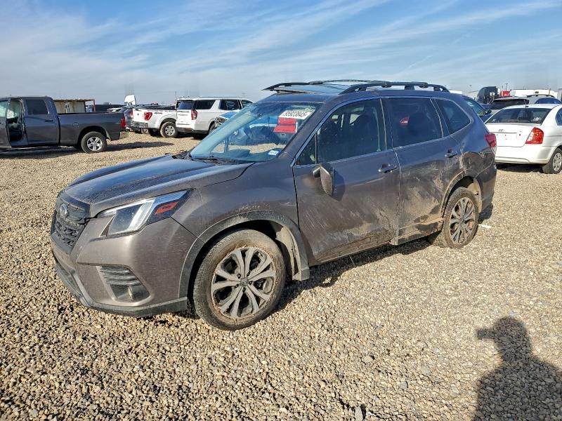 SUBARU FORESTER L 2024 with VIN JF2SKALC3RH450787 - Photo from auction