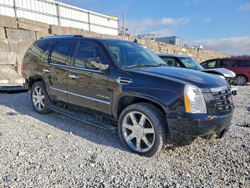 Photo 4 from auction – 2010 CADILLAC ESCALADE P with VIN 1GYUKCEF3AR117802