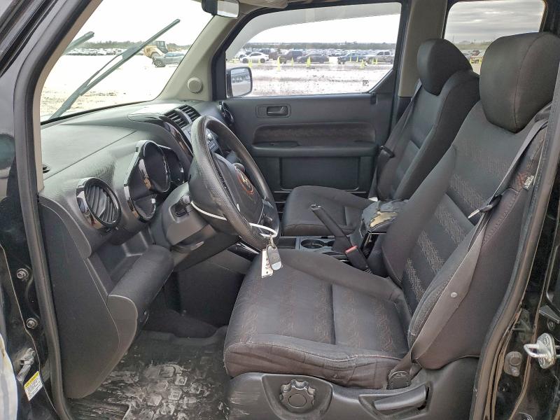 Photo 7 from auction – 2007 HONDA ELEMENT SC with VIN 5J6YH18917L000600