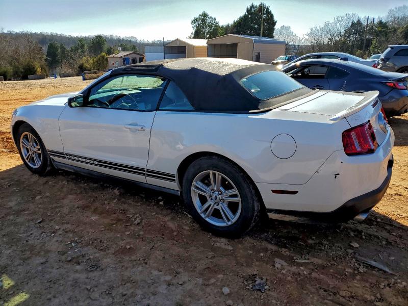 Photo 2 from auction – 2011 FORD MUSTANG with VIN 1ZVBP8EM2B5163539